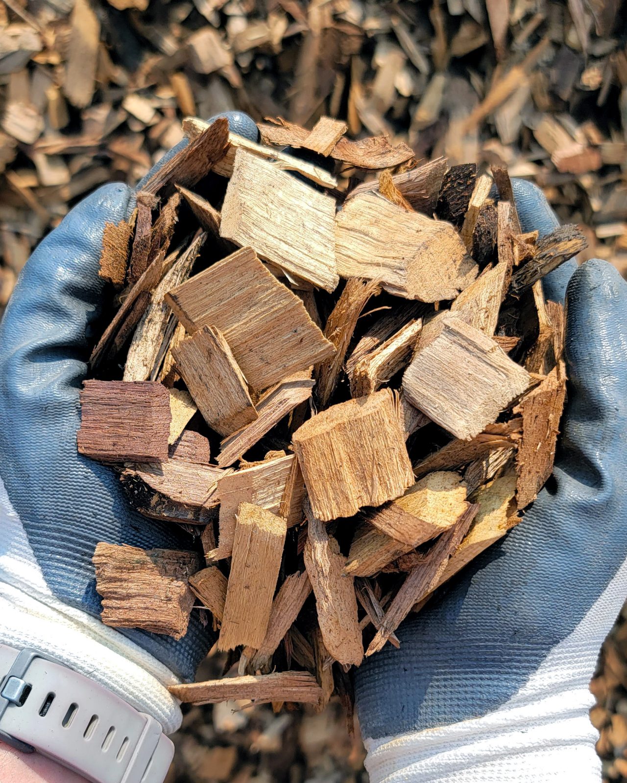 Chips for Sale: Selling Wood Chips After Land Clearing