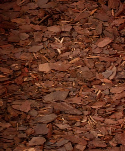 Pine Bark Mulch - Evans Mulch