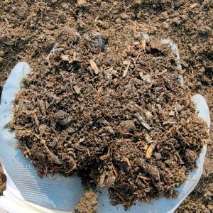 Mushroom Compost