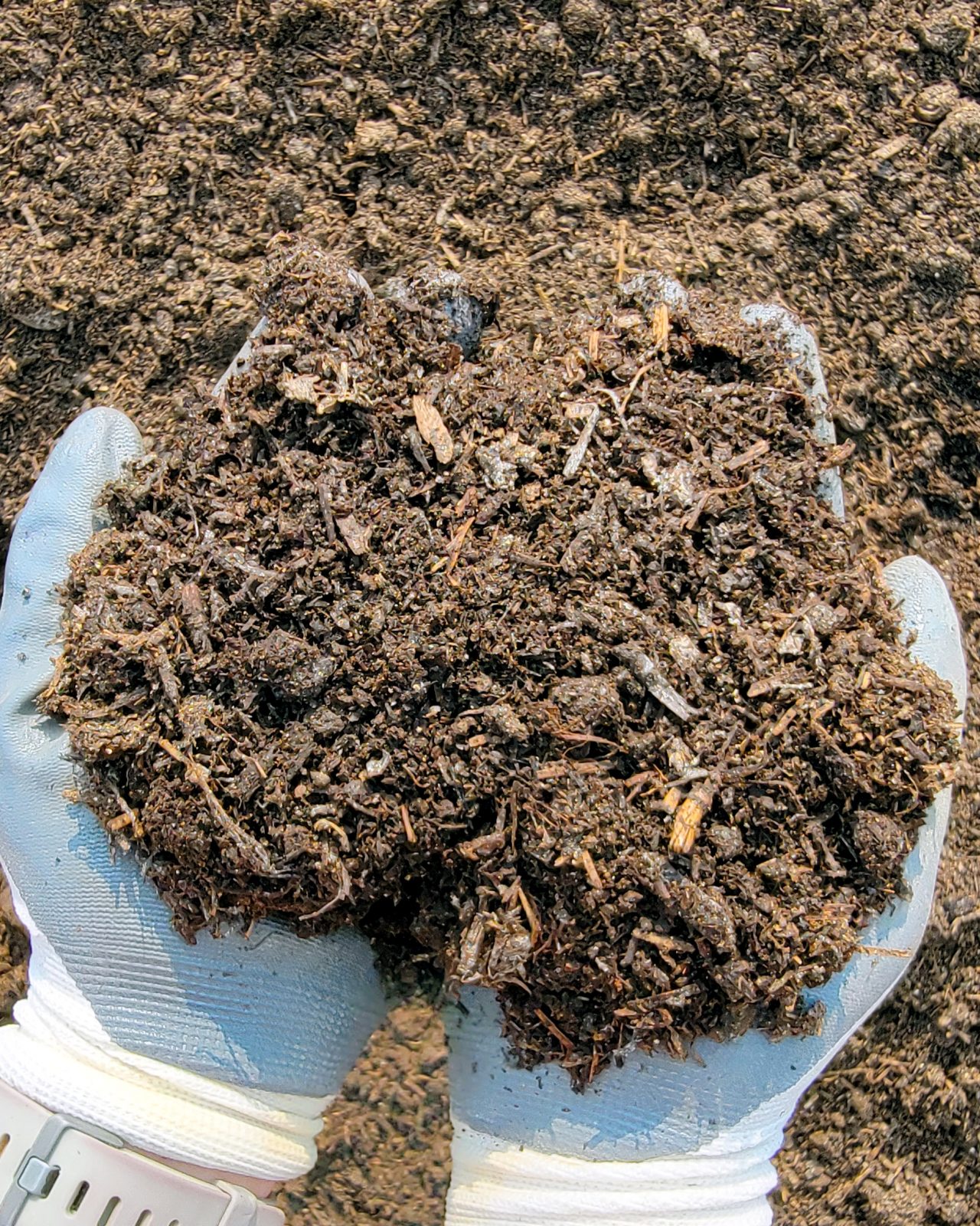 Mushroom Compost