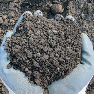 Michigan Peat Moss