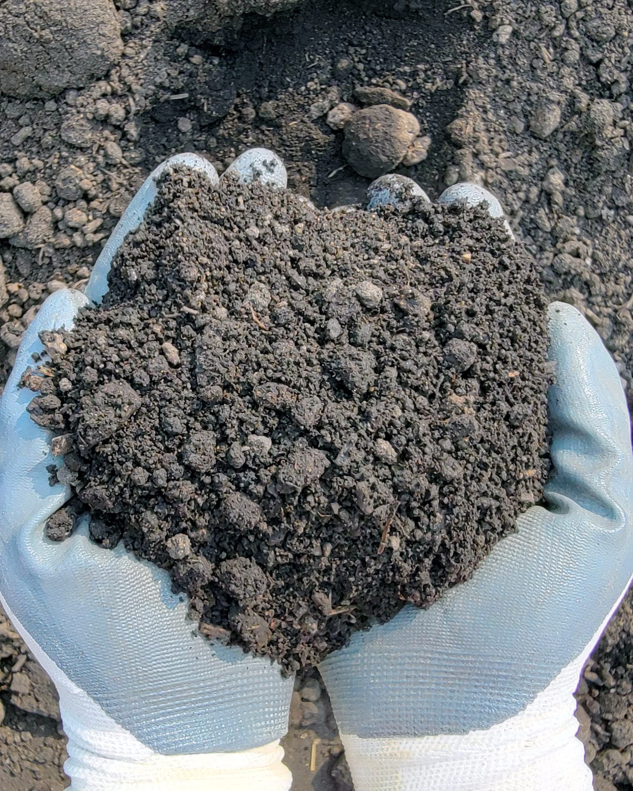 Michigan Peat Moss