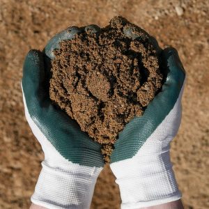 Hands with gardening gloves on holding Coarse Sand