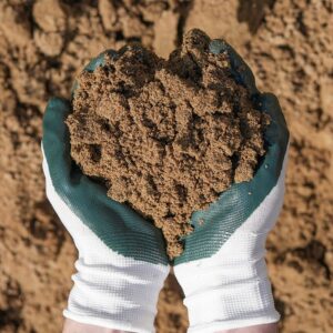 Hands with gardening gloves on holding Fine Sand