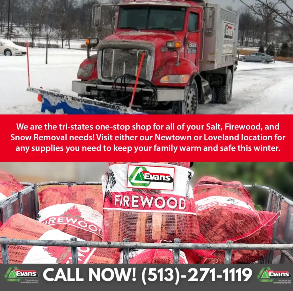 Snow Removal, Salt and Firewood Banner